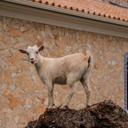הוילה לייריה Quinta Do Bamby מראה חיצוני תמונה