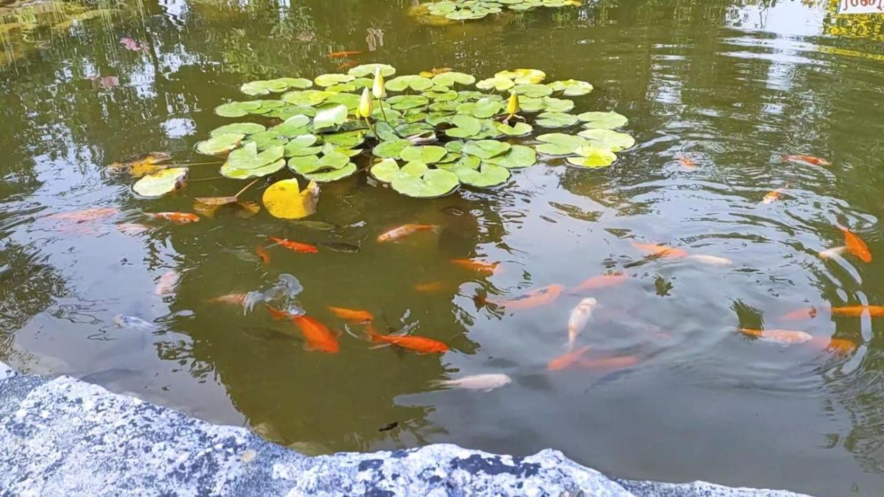 הוילה לייריה Quinta Do Bamby מראה חיצוני תמונה